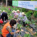 정상케어팜 이미지