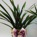 대훈유통 이미지