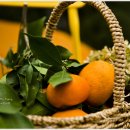 하늘빛농원 이미지