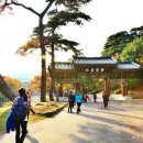 수양양산