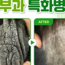 문 동물병원 이미지
