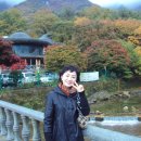 금일초등학교 이미지