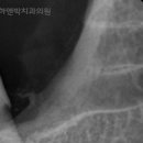 하앤박치과의원 이미지