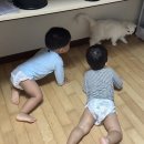 신통치킨 영천창신점 | 9월도 맛도리뱅뱅💫