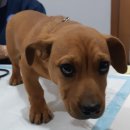 용두파출소 이미지