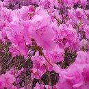 (주)가나안건설 이미지