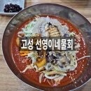 강원도 고성 물회 맛집 &#34;선영이네물회&#34; 찐 방문 후기