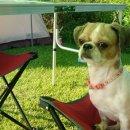 맑은물펜션 이미지