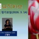 제66회(2603)정기모임 02. O mio babbino caro/스텔라 이미지