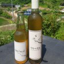 석장리미더리
