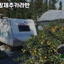 팜핑제주 이미지