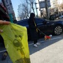 쥬라기동물병원 이미지