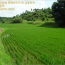 (충남 공주시토지(답)경매) 공주시 탄천면 덕지리 455 ○ 2018타경1430 예상낙찰가