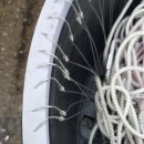 태안선구사 이미지