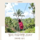 투카스 | 발리여행 5박 7일 :2day 자유여행 발리 동부 투어 일정 및 경비 예약방법, 렘푸양 띠르따강가 따만우중...