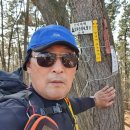 진봉면사무소 이미지