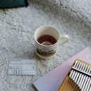 그로브동산 이미지