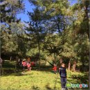 숲으로 가는 어린이집 이미지