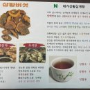 대가상황삼계탕