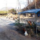 방원가든 이미지