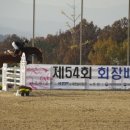 국제승마장관리사업소 연합뉴스