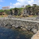 소남머리 이미지