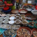 자갈치시장 이미지