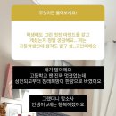 망고서프