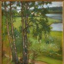 비요르크 이미지