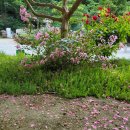 천등민박 이미지