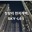 동대문지상상가 B1층 | 청량리 롯데캐슬 SKY-L65 : 임장가니 살아보고 싶은 곳