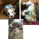 덕천중학교 이미지