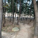 속초사잇길 제5길 이미지