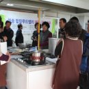 힐링푸드벨리