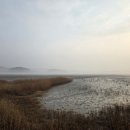 보건진료소 길 앞 | 서해랑길 89코스(전곡항~남동보건진료소),역방향