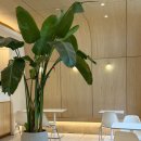 에또르팡 이미지