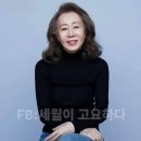 윤여정 이미지