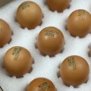 만민농장 이미지