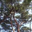 테마게임장 이미지