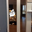 할리당구장 이미지