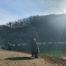 다정누림 이미지