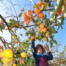 상훈축산 아시아경제