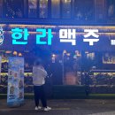 한라맥주 티스토리