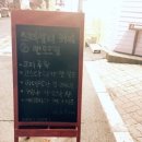 올드 트리 이미지