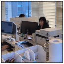 세무법인광화문 - 전주시 덕진구 벚꽃로 54 | 마포구세무사, 구해도 세금 수천만 원 날리는 1가지 이유