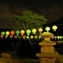 아침의 새소리 이미지