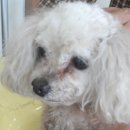 낙성대동-6 이미지