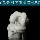 아산시 동부노인복지관 | 2024.12.17 프라이드병원 - 동부 노인복지관 건강강의! 무릎이 아파요!!