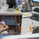 월평동물병원 이미지