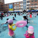 숭례초등학교 이미지